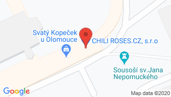 Google map: Sadové náměstí 29/19, Olomouc